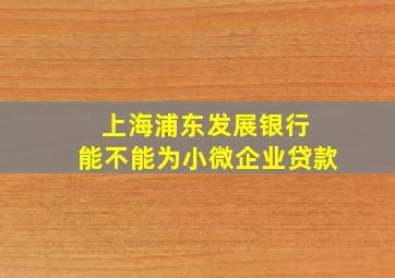 上海浦东发展银行 能不能为小微企业贷款